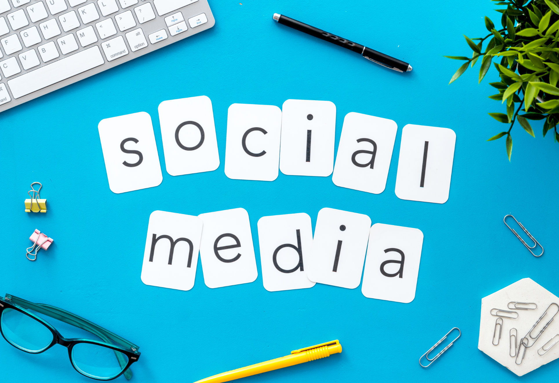 تسويق شركة علي سوشيال ميديا